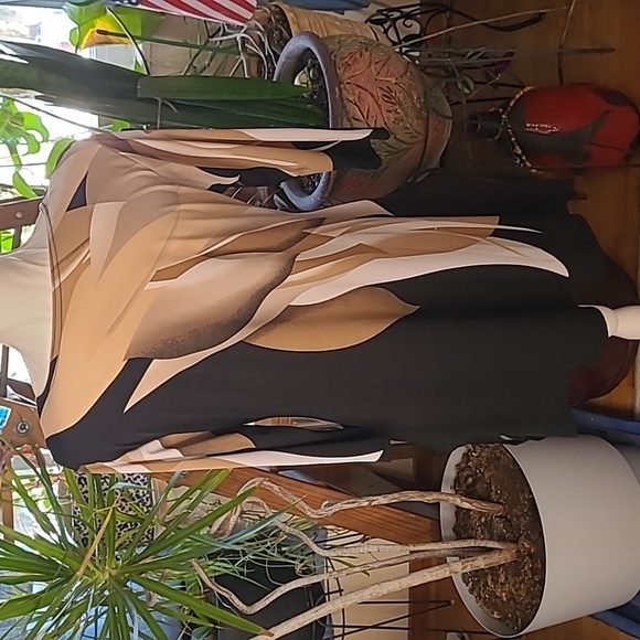 Valentina Signa Brownstone V-neck Rhinestone Tunic Adult L - Picture 2 of 9